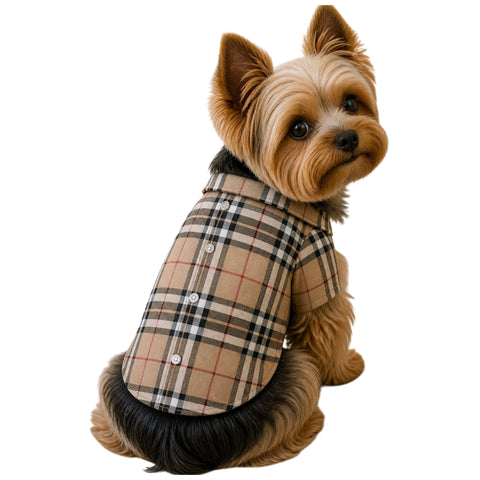 Plaid Tan