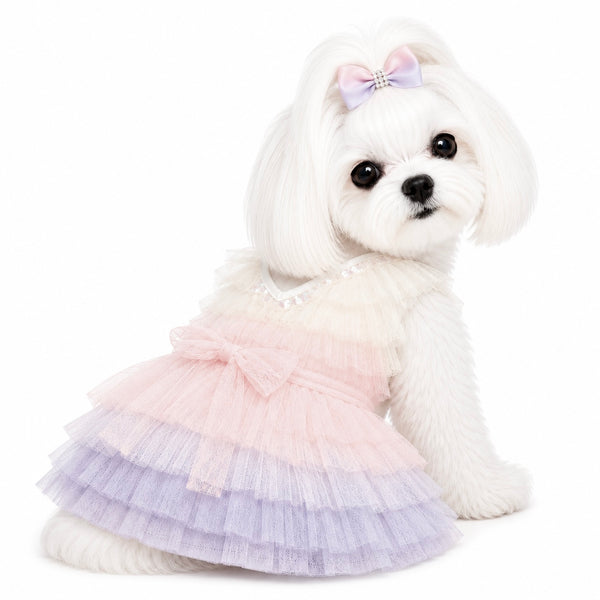 Ombre'Ruffle