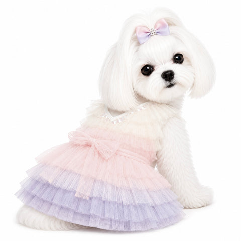 Ombre'Ruffle