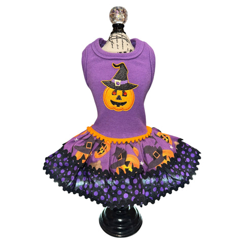 A/P Pumpkin