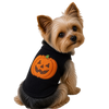 Pumpkin Tank