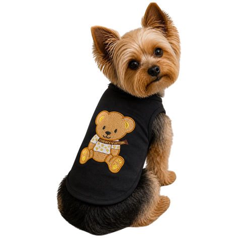 Chewy Teddy Bear