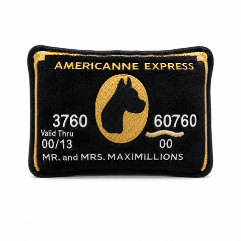 AMEX Card