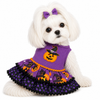 A/P Pumpkin
