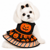 A/P Pumpkin
