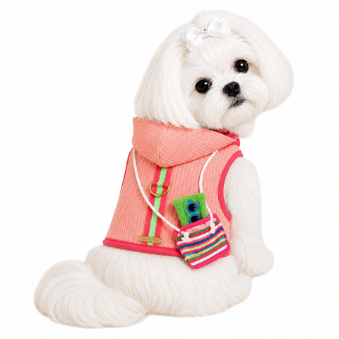 L/B Beach Bag