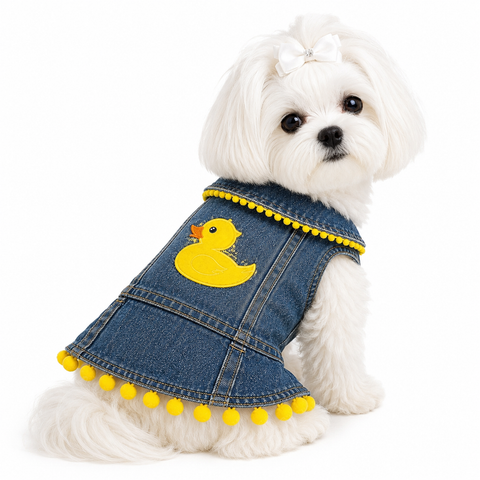 A/P Ducky