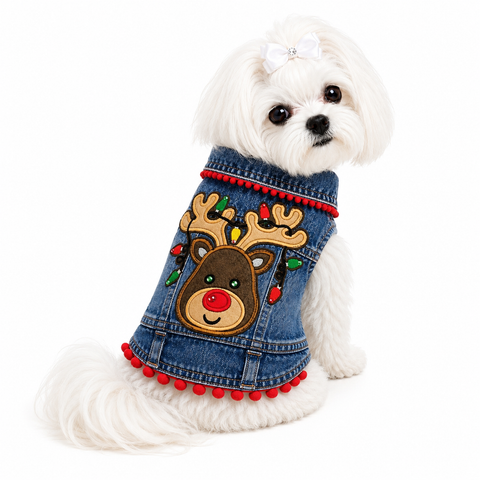 A/P Reindeer