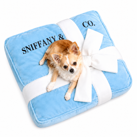 Bed Sniffany