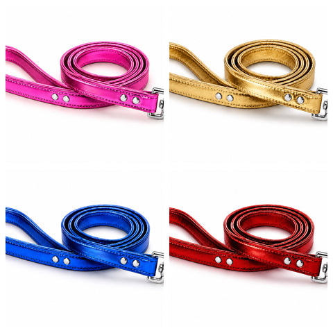 1/2 inch Metallic Leash 4 FT