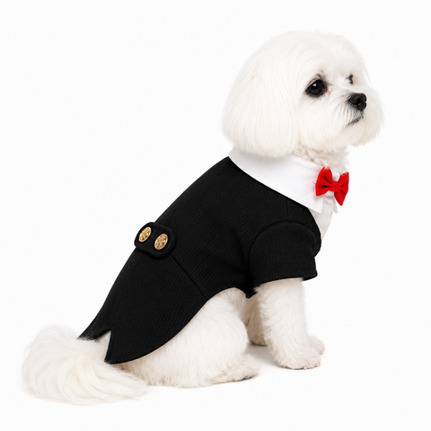 Tuxedo R&B Bowtie