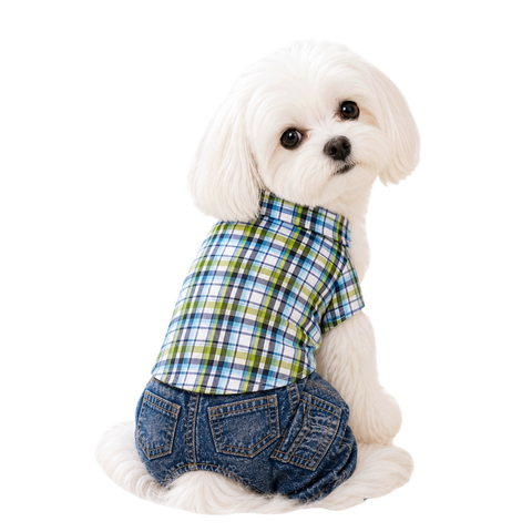 Plaid Blue