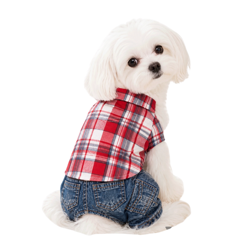 Plaid Red