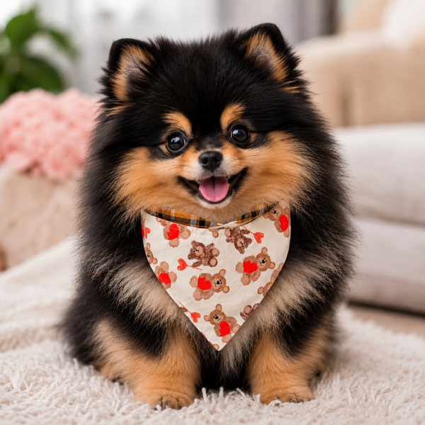 Bandanas Teddy Bear