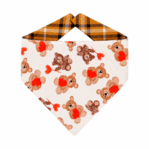 Bandanas Teddy Bear