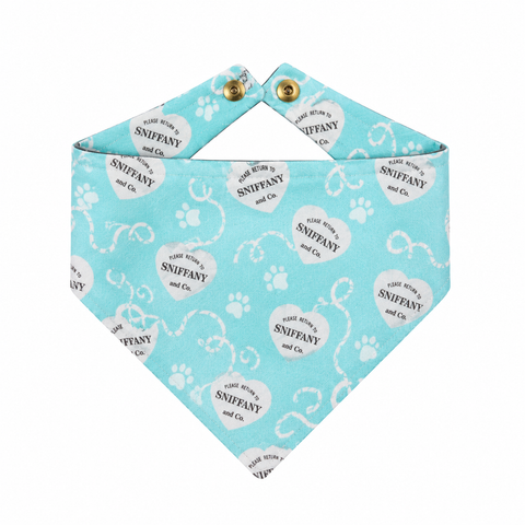 Bandanas Sniffany
