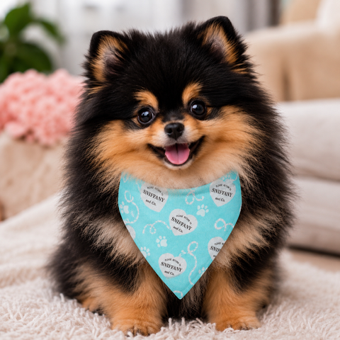 Bandanas Sniffany