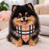 Bandanas Plaid