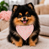 Bandanas Daisy Pink