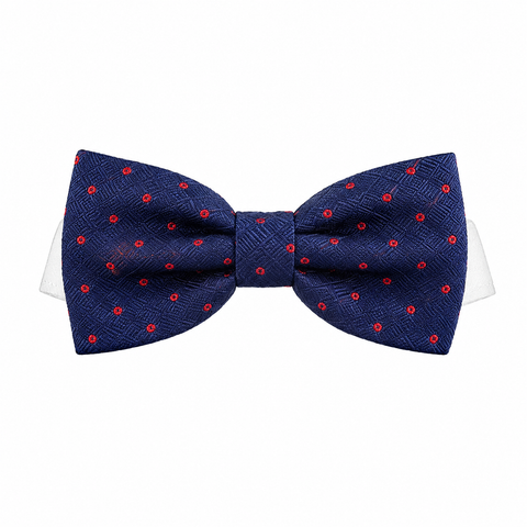 Bow Tie Andrew