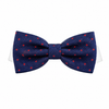 Bow Tie Andrew