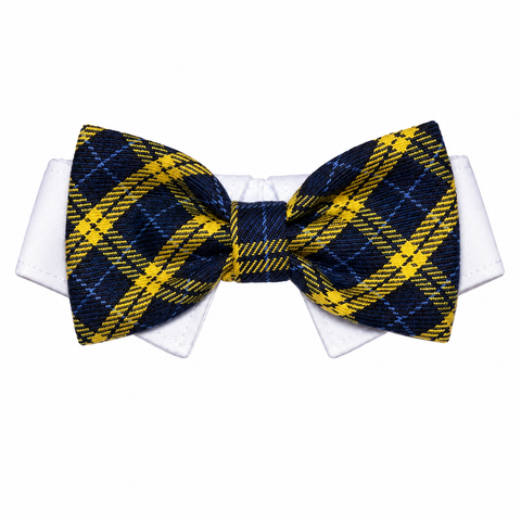 Bow Tie Bruce