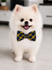 Bow Tie Bruce
