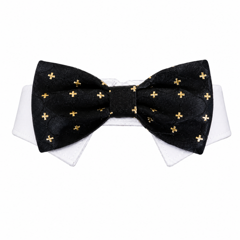 Bow Tie Cameron