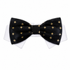 Bow Tie Cameron