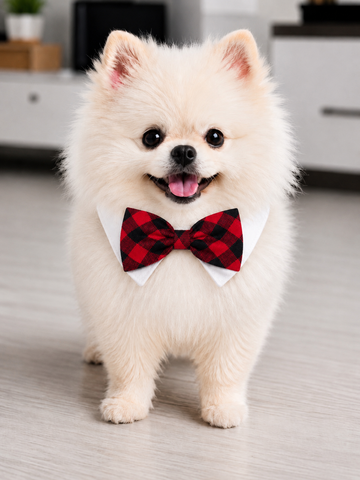 Bow Tie Clark
