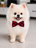 Bow Tie Clark