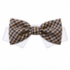 Bow Tie Ethan