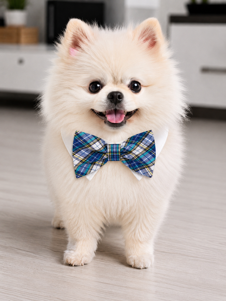 Bow Tie Issac