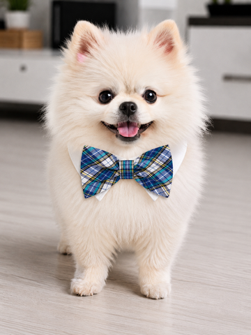 Bow Tie Issac