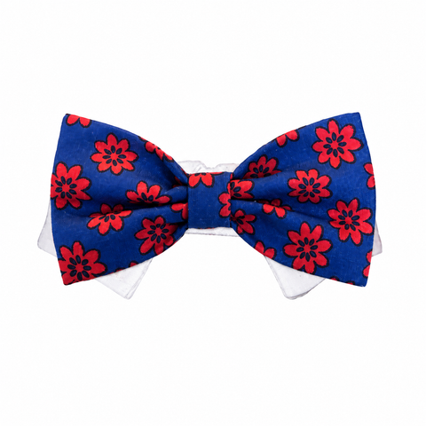 Bow Tie Preston