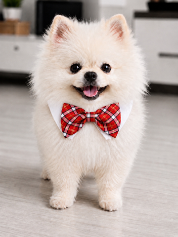 Bow Tie Red Checker
