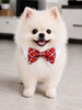 Bow Tie Red Checker