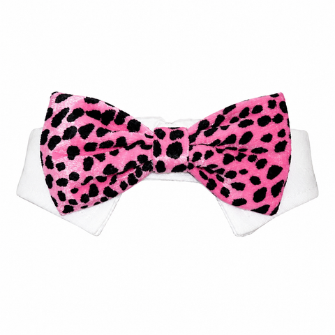 Bow Tie Roberto PK