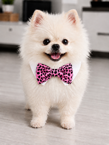 Bow Tie Roberto PK