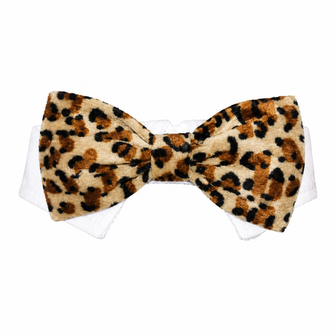 Bow Tie Roberto Tan