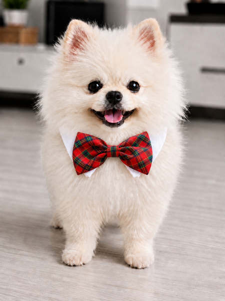 Bow Tie Xmas
