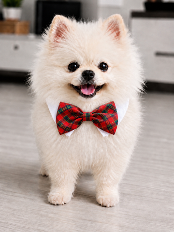 Bow Tie Xmas