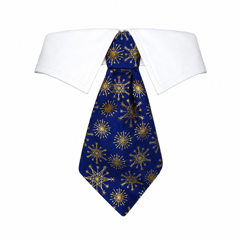 Tie Caspar