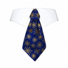 Tie Caspar