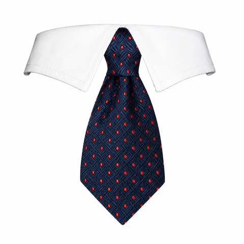Tie Colton