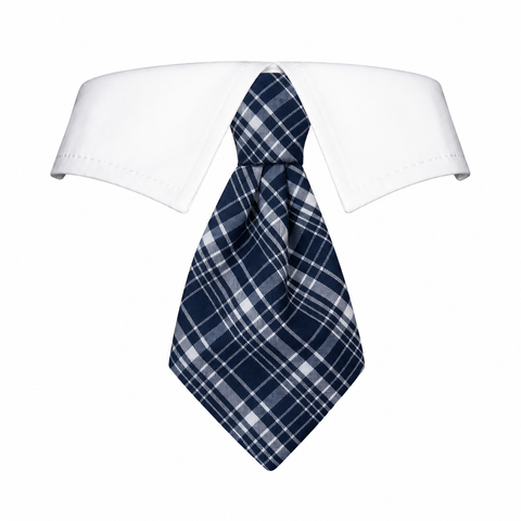 Tie Jayden
