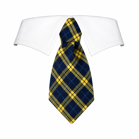 Tie Harry