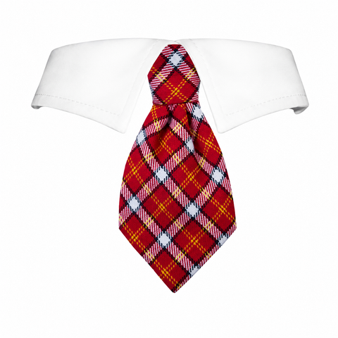 Tie Richie