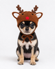 W/Y Hat Reindeer