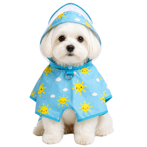Sunshine Raincoat